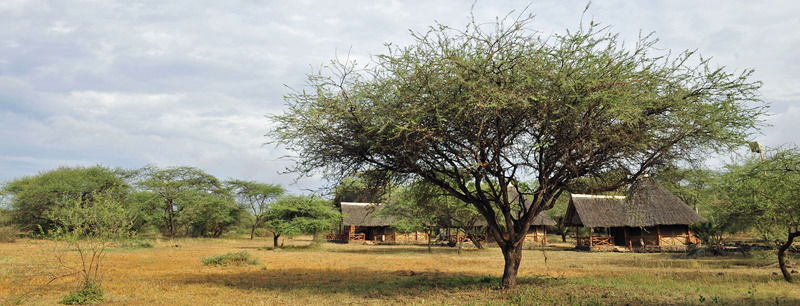 Severin Safari Camp Tsavo Exterior photo