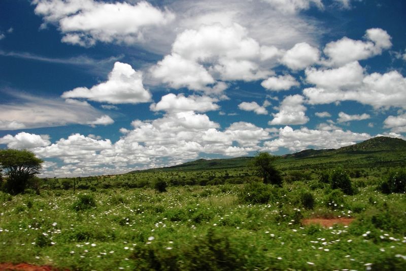 Severin Safari Camp Tsavo Exterior photo