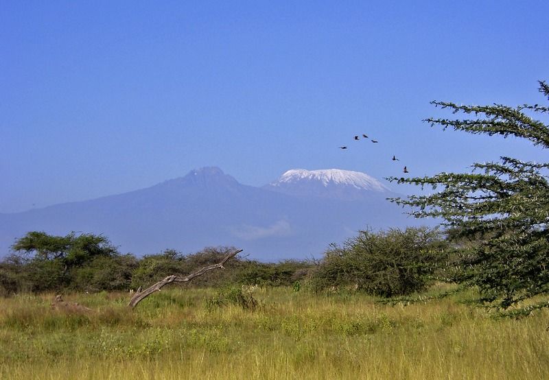 Severin Safari Camp Tsavo Exterior photo