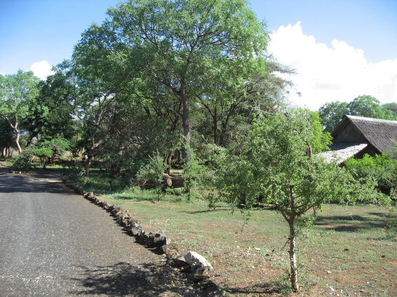 Severin Safari Camp Tsavo Exterior photo